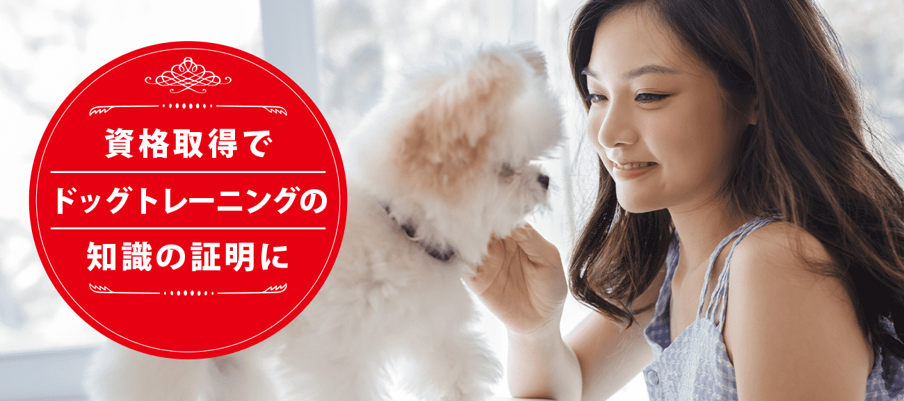 ドッグトレーニングの専門家になれる資格