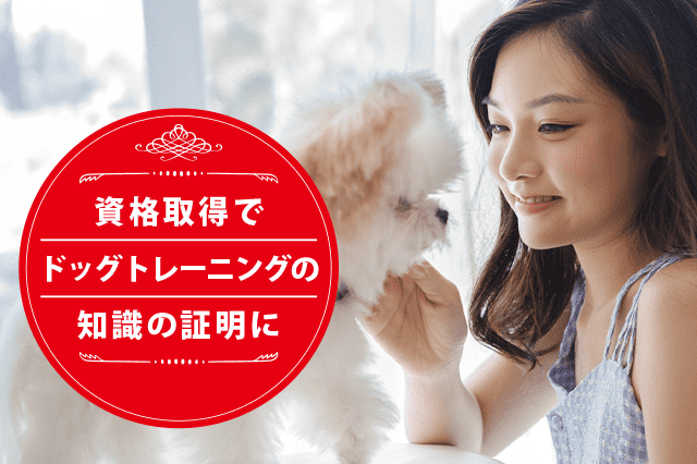 ドッグトレーニングの専門家になれる資格