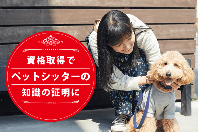 ペットシッターアドバイザーになれる資格