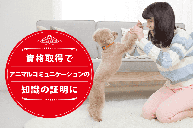 アニマルコミュニケーションの専門家になれる資格