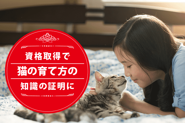 猫の専門家になれる資格