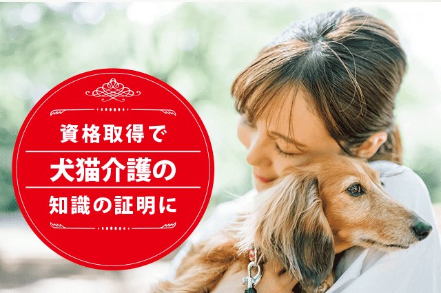 犬猫介護の専門家になれる資格