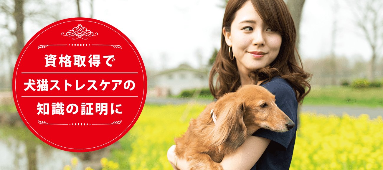 犬猫ストレスケアの専門家になれる資格