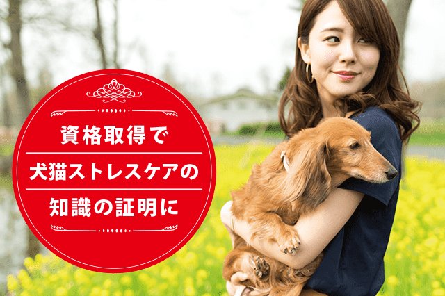 犬猫ストレスケアの専門家になれる資格