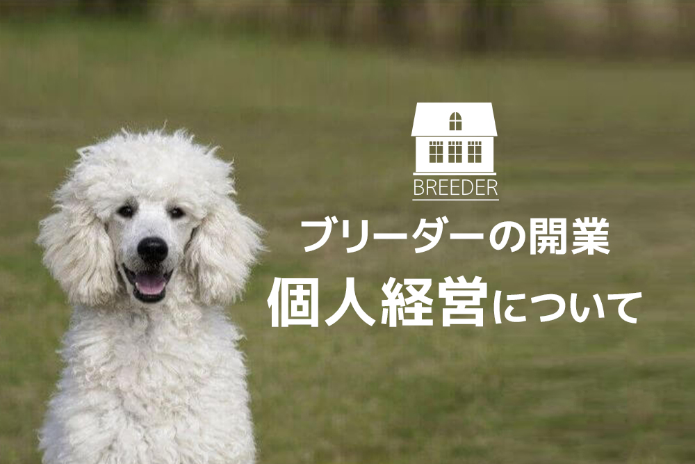 具体的にどうすればいい?ブリーダーの開業、個人経営について