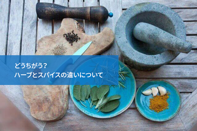 どうちがう?ハーブとスパイスの違いについて