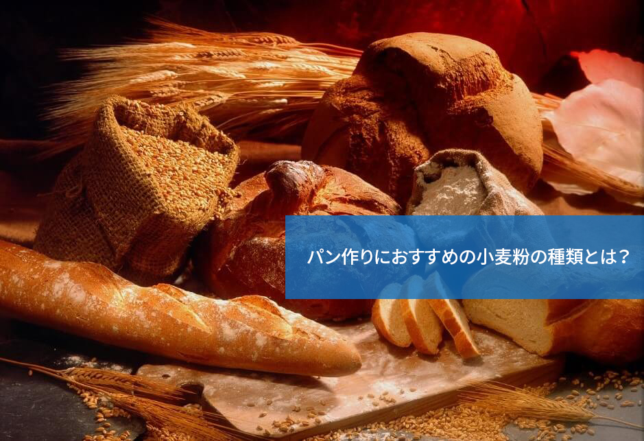 どれを選ぶ?どう違う?パン作りにおすすめの小麦粉の種類とは?