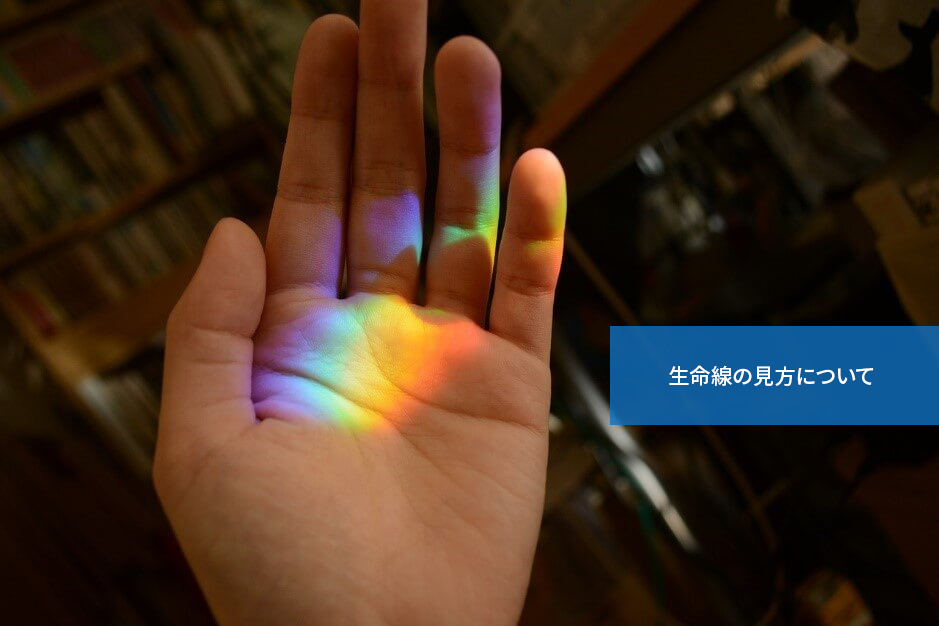どう見ればいい?生命線の見方について