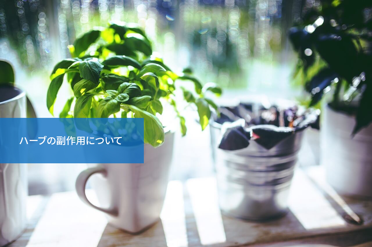意外な危険も!ハーブの副作用について
