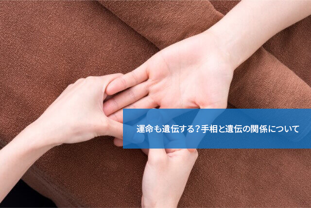 運命も遺伝する?手相と遺伝の関係について