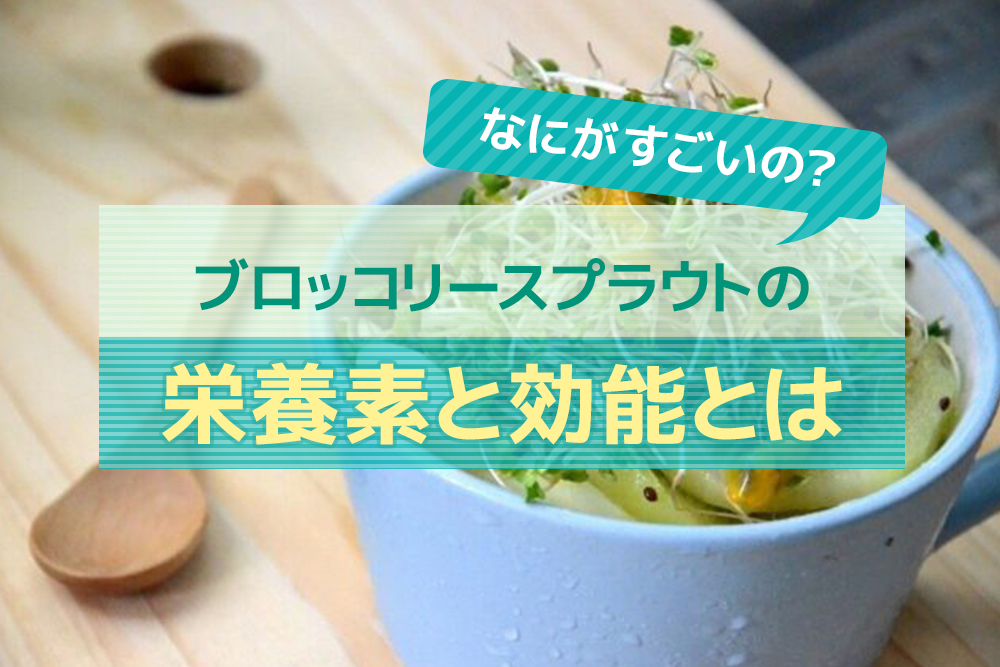 なにがすごいの?ブロッコリースプラウトの栄養素と効能とは