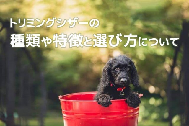 いいものを揃えておきたい!トリミングシザーの種類や特徴と選び方について