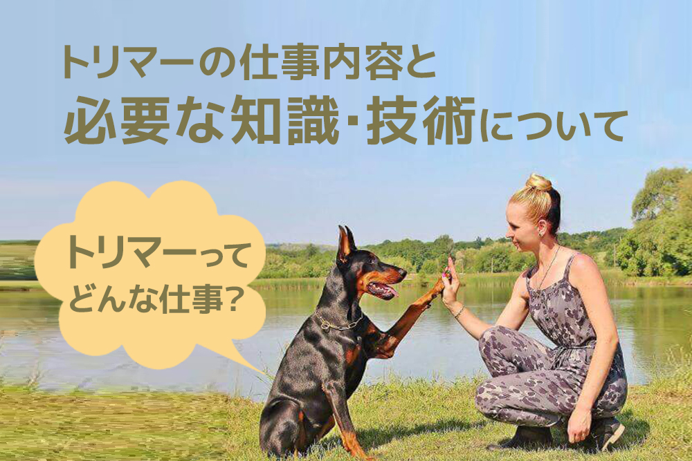 トリマーってどんな仕事?トリマーの仕事内容と必要な知識・技術について