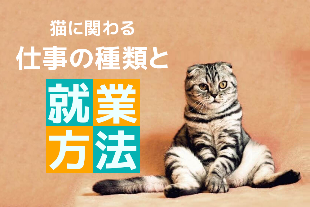 どんなものがある?自分にもなれる?猫に関わる仕事の種類と就業方法