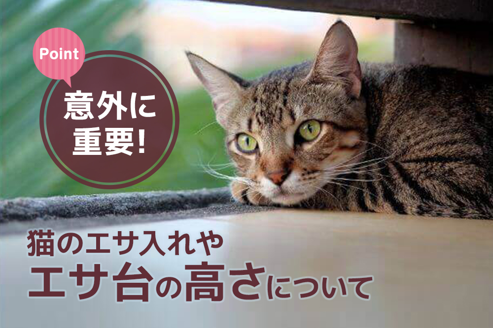 意外に重要!猫のエサ入れやエサ台の高さについて