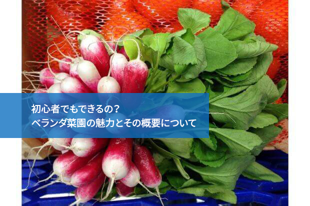 初心者でもできるの?ベランダ菜園の魅力とその概要について