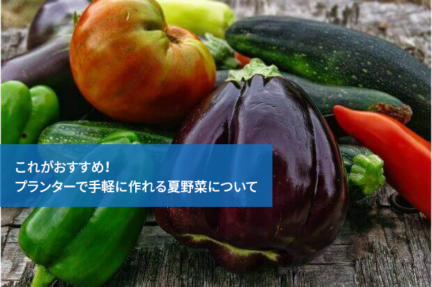 これがおすすめ!プランターで手軽に作れる夏野菜について