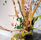 スペシャル講座なら100%資格取得できます