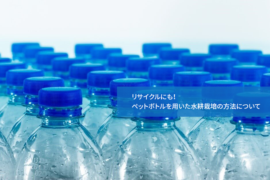 リサイクルにも!ペットボトルを用いた水耕栽培の方法について