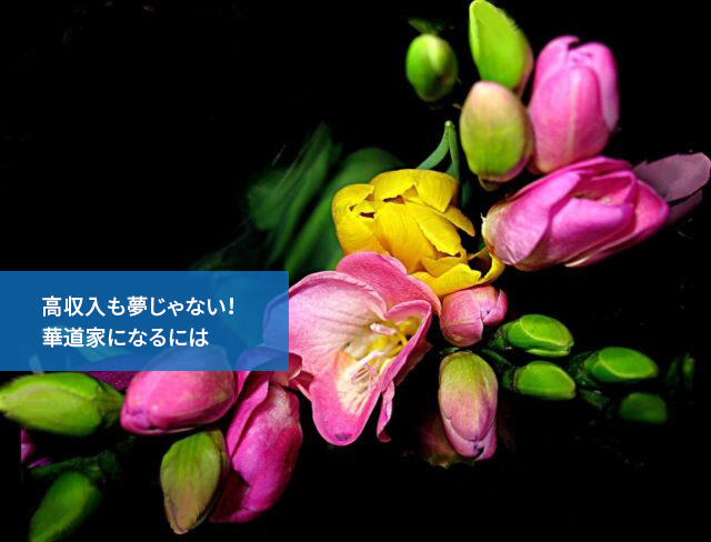 高収入も夢じゃない!華道家になるには