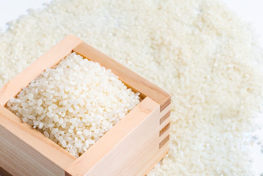 スペシャル講座なら100%資格取得できます