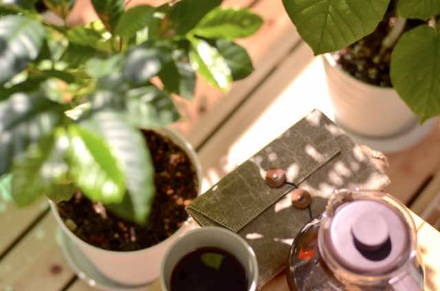 ガーデニングアドバイザー