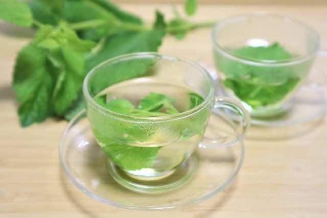 メディカルハーブカウンセラー®