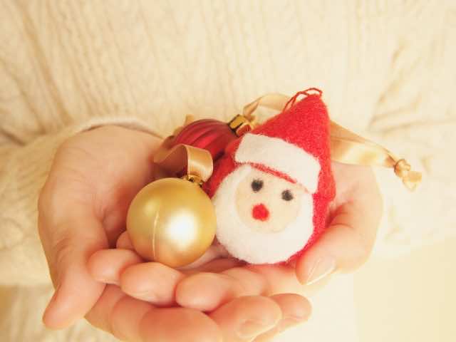 ニードルフェルトデザイナー®