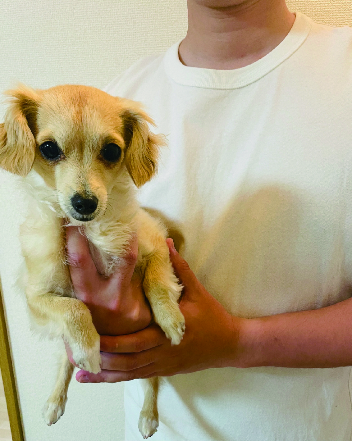 ほしのたかき 先生