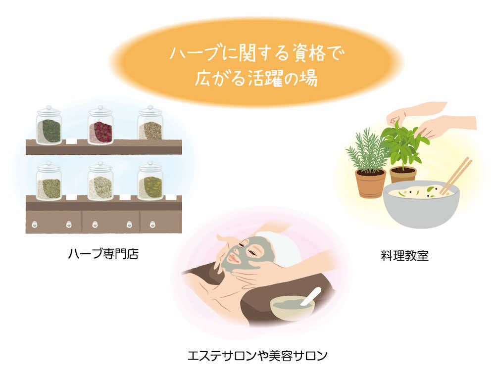 ハーブに関する資格保有者が活躍できるフィールドは?