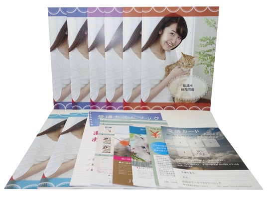 猫の育て方アドバイザー