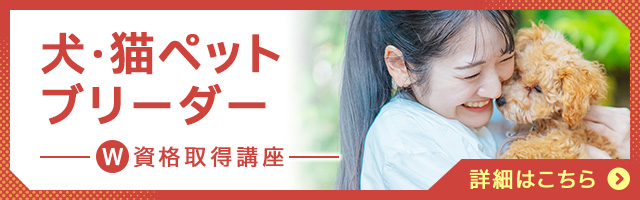犬・猫ペットブリーダー