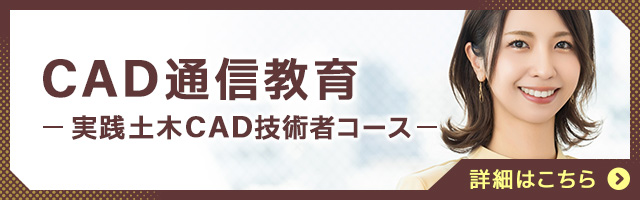実践土木CAD技術者