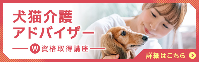 犬猫介護アドバイザー