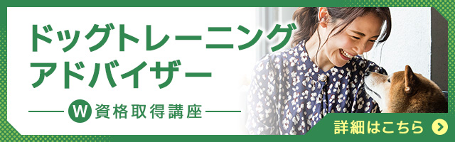 ドッグトレーニングアドバイザー