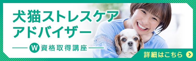 犬猫ストレスケアアドバイザー