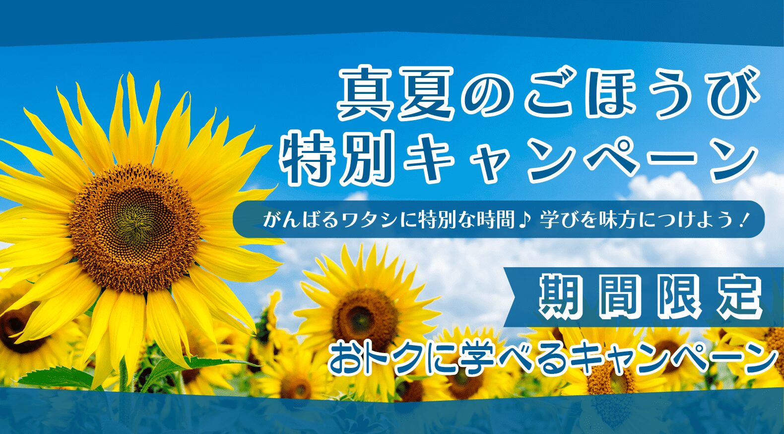 真夏のごほうび特別キャンペーン